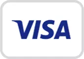nacin placila visa logo